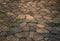 Kate Brun Chemin de pierre Sol Toile de fond conçue par Kate Image - Kate Backdrop FR
