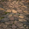 Kate Brun Chemin de pierre Sol Toile de fond conçue par Kate Image - Kate Backdrop FR