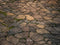 Kate Brun Chemin de pierre Sol Toile de fond conçue par Kate Image - Kate Backdrop FR