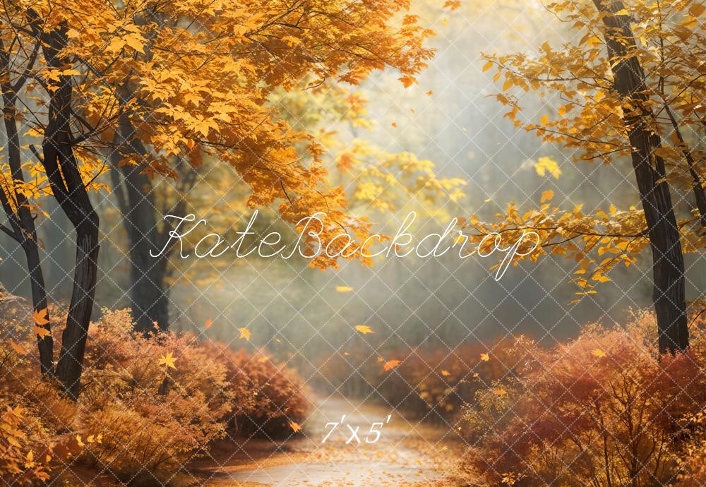 Kate Automne Érable Forêt Sentier Toile de fond conçue par Chain Photographie
