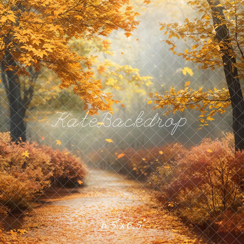 Kate Automne Érable Forêt Sentier Toile de fond conçue par Chain Photographie - Kate Backdrop FR
