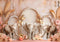 Kate Bohème Éléphants Arche Rose Toile de fond conçue par Patty Robert - Kate Backdrop FR