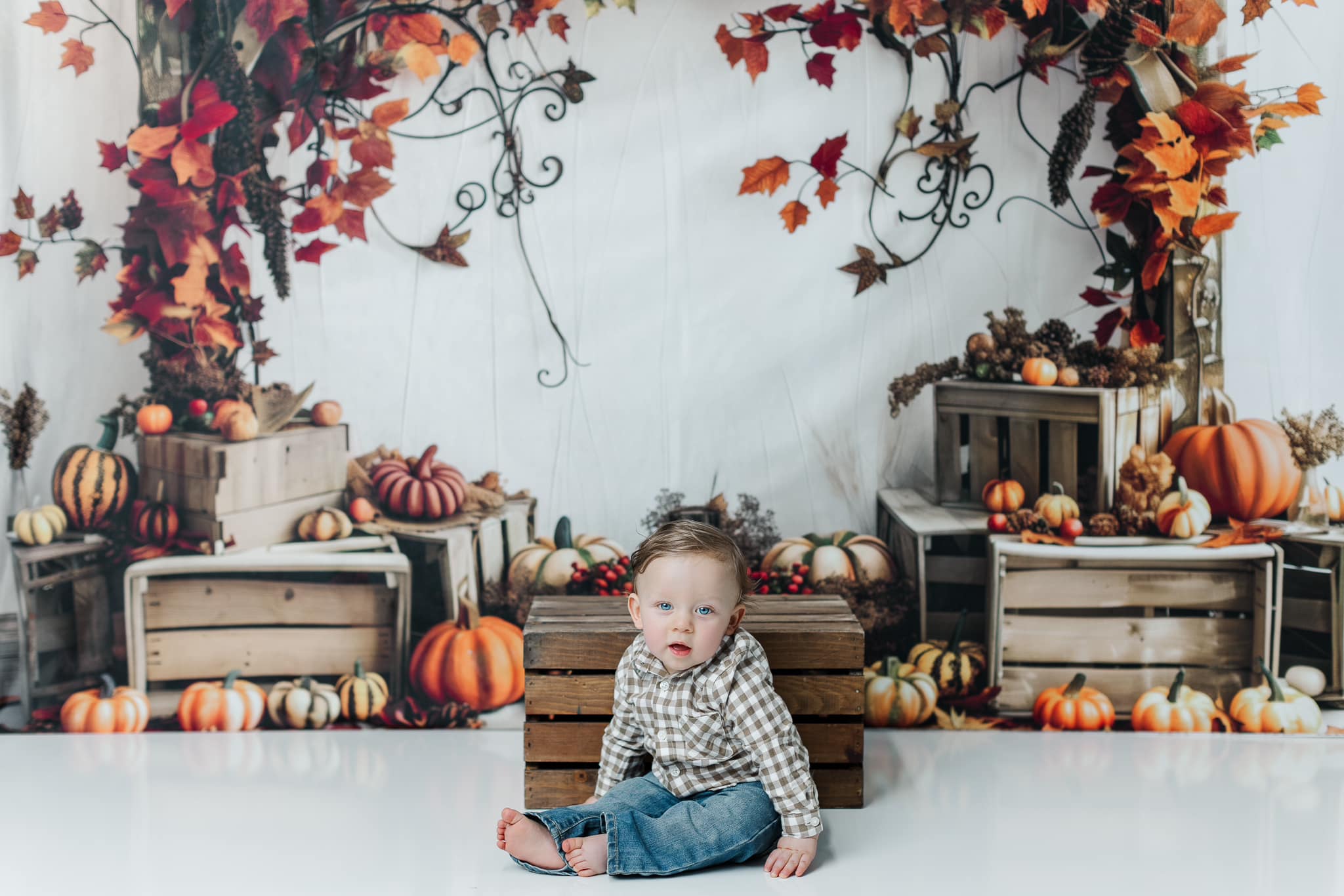 Kate Arche en bois Citrouilles Automne Érable Toile de fond conçue par Patty Robert - Kate Backdrop FR