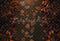 Kate Forêt Feuilles tombées Chemin Sol Toile de fond conçue par Kate Image - Kate Backdrop FR