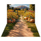 Kate Automne Tournesol Champ Citrouilles Ferme Toile de fond+Forêt Ombre Prairie Chemin Sol Toile de fond - Kate Backdrop FR