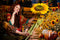 Kate Automne Tournesol Champ Citrouilles Ferme Toile de fond+Forêt Ombre Prairie Chemin Sol Toile de fond - Kate Backdrop FR