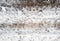 Kate Hiver Blanc Neige Sol Toile de fond conçue par Kate Image - Kate Backdrop FR