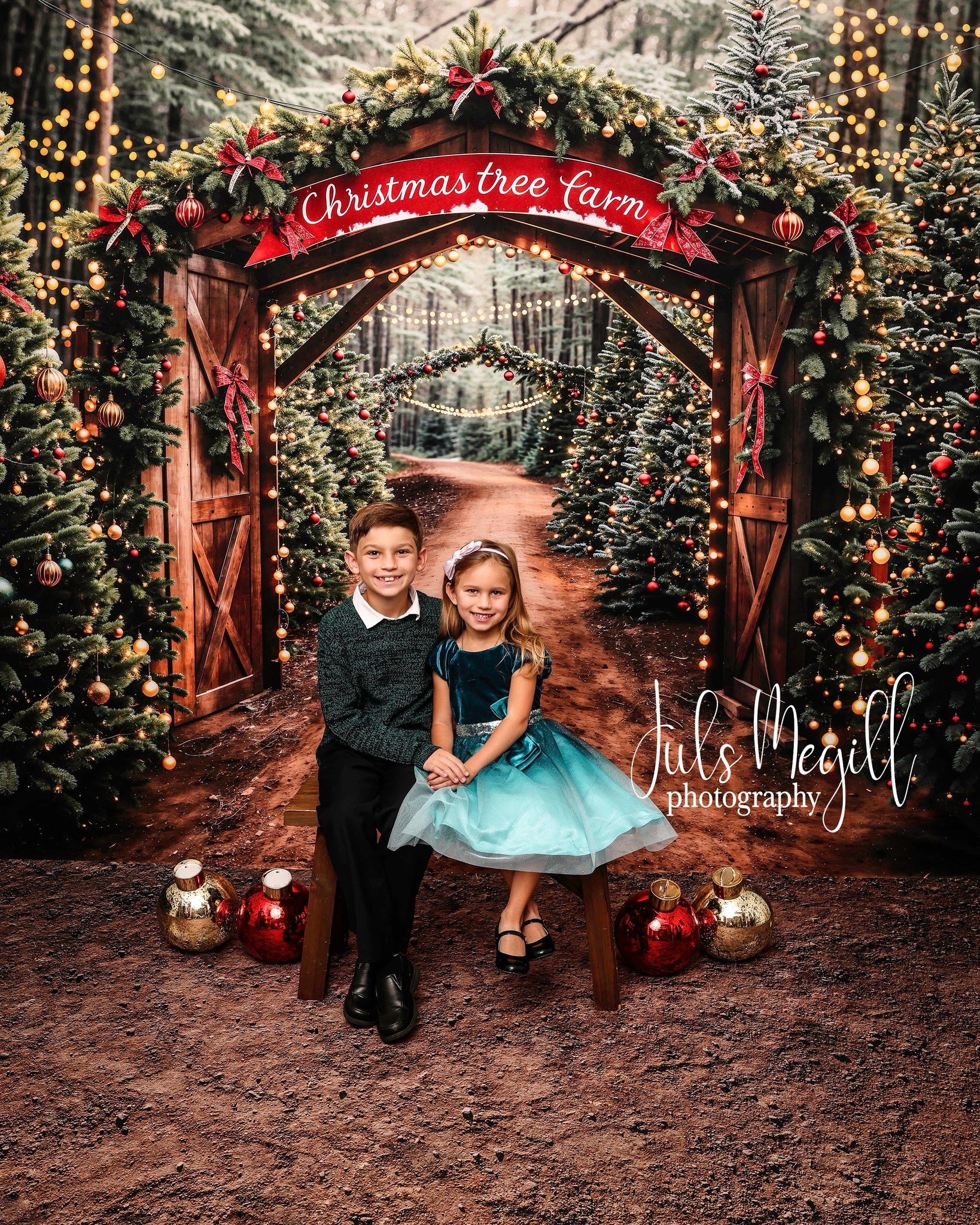 Kate Noël Sapins Forêt Ferme Porte en bois Toile de fond conçue par Emetselch