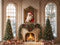 Kate Père Noël Portrait Intérieur Cheminée Fenêtre Toile de fond conçue par Emetselch - Kate Backdrop FR