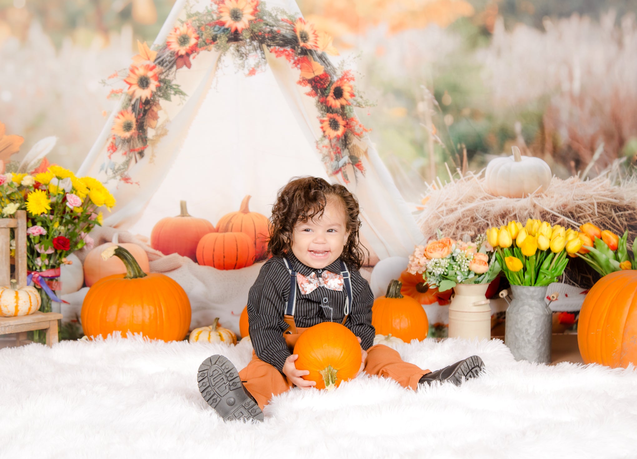 Kate Automne Tipi Décors Citrouilles Toile de fond conçue par Patty Robert - Kate Backdrop FR