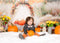 Kate Automne Tipi Décors Citrouilles Toile de fond conçue par Patty Robert - Kate Backdrop FR
