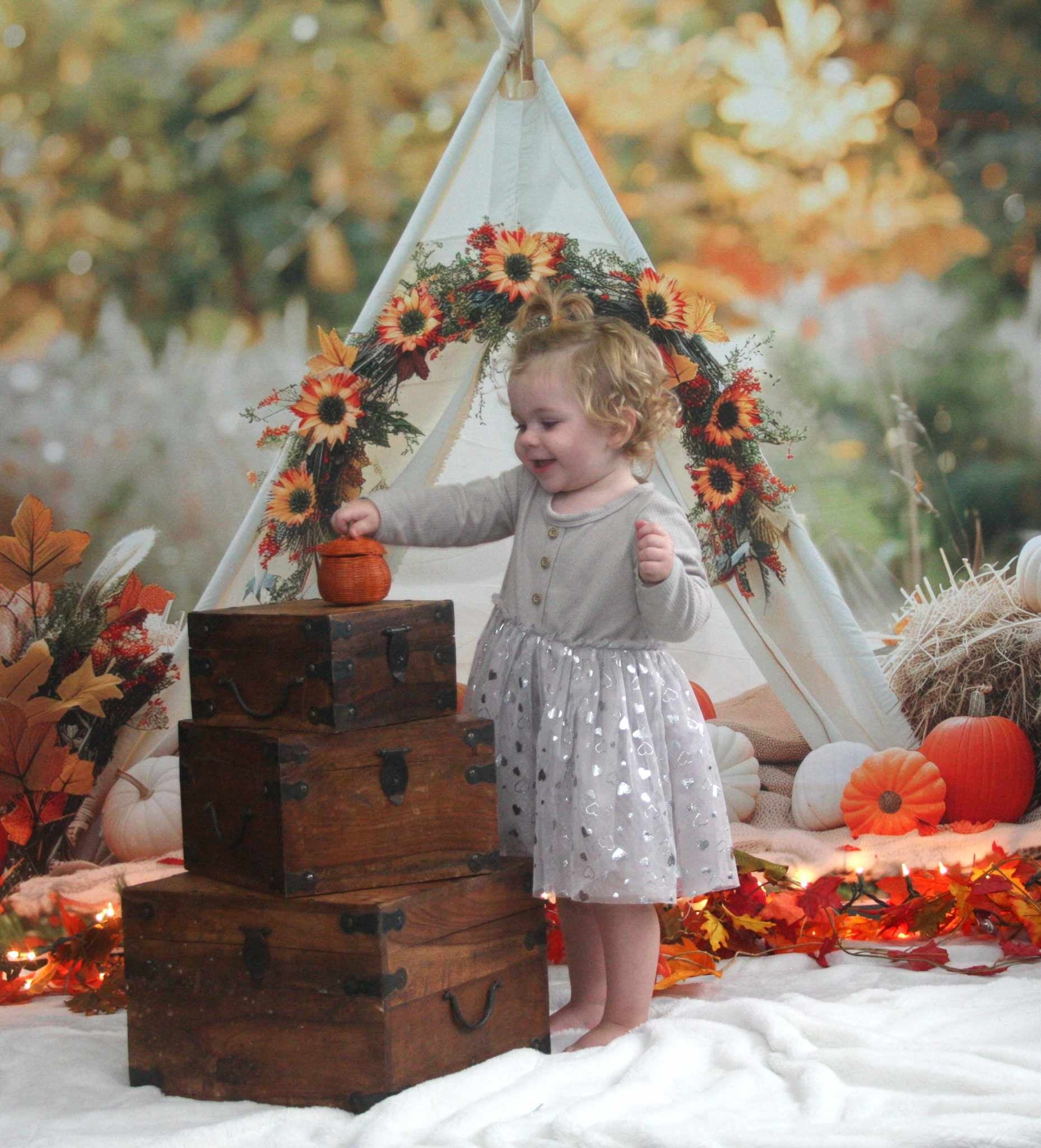 Kate Automne Tipi Décors Citrouilles Toile de fond conçue par Patty Robert - Kate Backdrop FR
