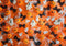 Kate Festif Halloween Citrouilles Fantômes Toile de fond conçue par Patty Robert - Kate Backdrop FR