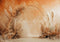 Kate Mystique Automne Bohème Arche Toile de fond conçue par Patty Robert - Kate Backdrop FR