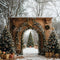 Kate Sapin de Noël Rétro Arche Neige Cadeaux Toile de fond conçue par Emetselch - Kate Backdrop FR