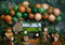 Kate Safari Jungle Animaux Cake smash Ballons Toile de fond conçue par Megan Leigh - Kate Backdrop FR