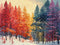 Kate Coloré Pin Forêt Neige Toile de fond conçue par Megan Leigh - Kate Backdrop FR