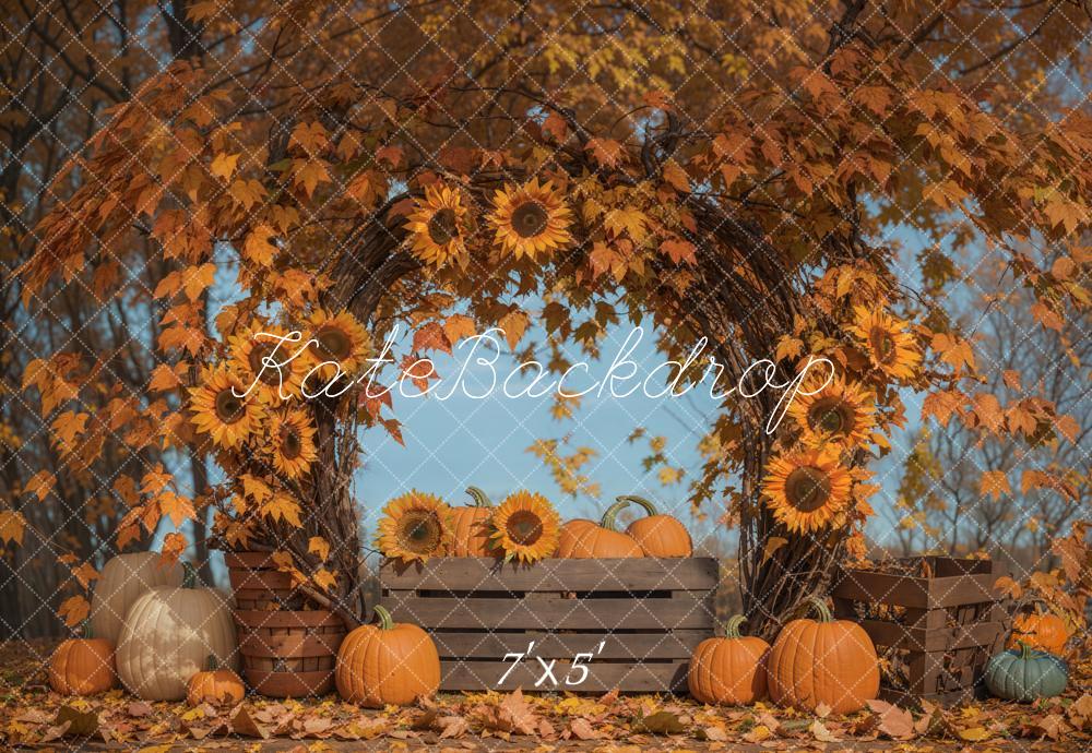 Kate Automne Tournesol Arche Feuilles d'érable Toile de fond conçue par Emetselch - Kate Backdrop FR