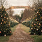 Kate Arbres de Noël Route Décorations Toile de fond conçue par Emetselch - Kate Backdrop FR