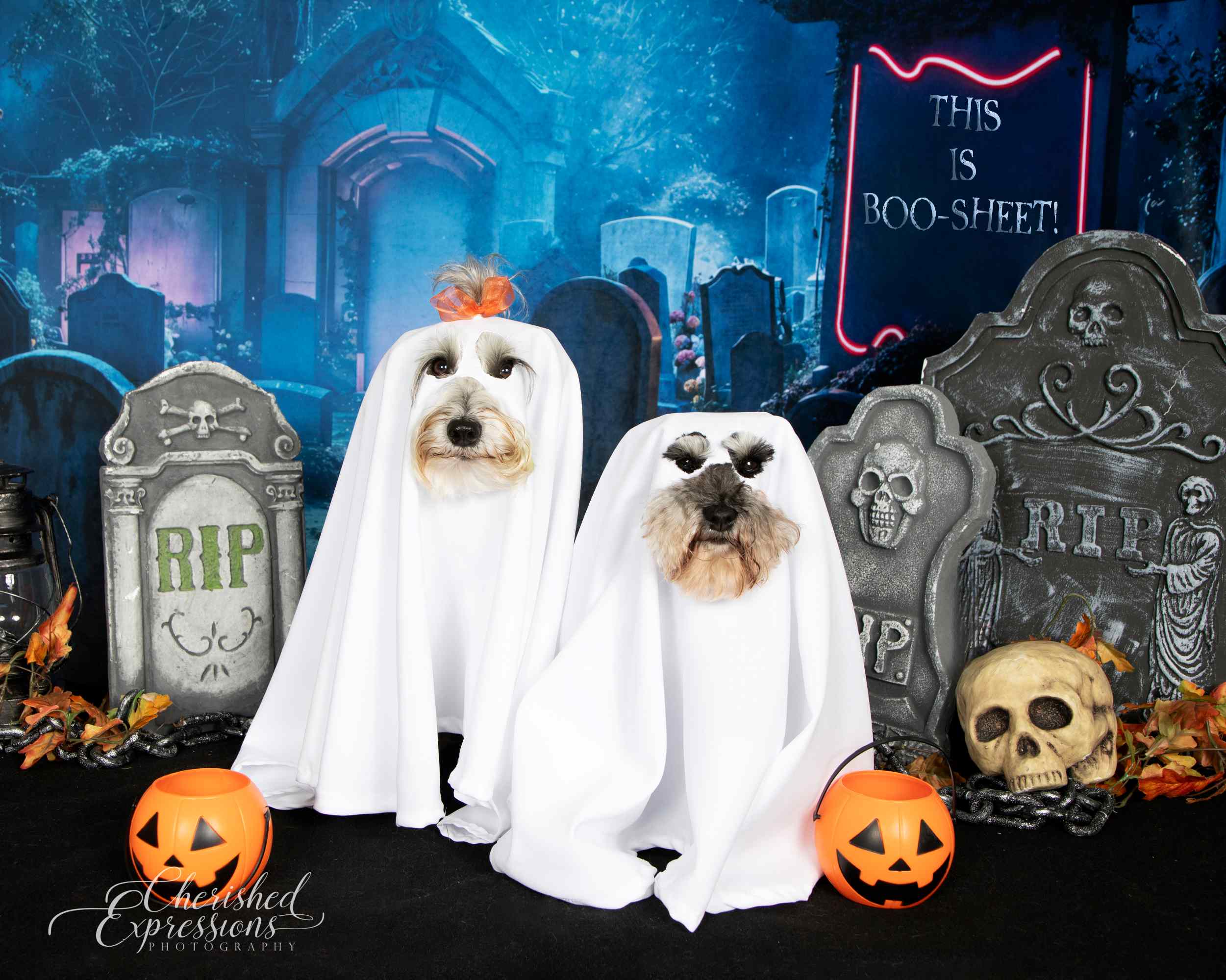 Kate Halloween Néon Cimetière Nuit Toile de fond conçue par Emetselch - Kate Backdrop FR