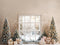 Kate Sapin de Noël Fenêtre Beige Cadeaux Toile de fond conçue par Emetselch - Kate Backdrop FR