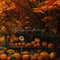 Kate Automne Étagère de citrouille Érable Toile de fond conçue par Emetselch - Kate Backdrop FR