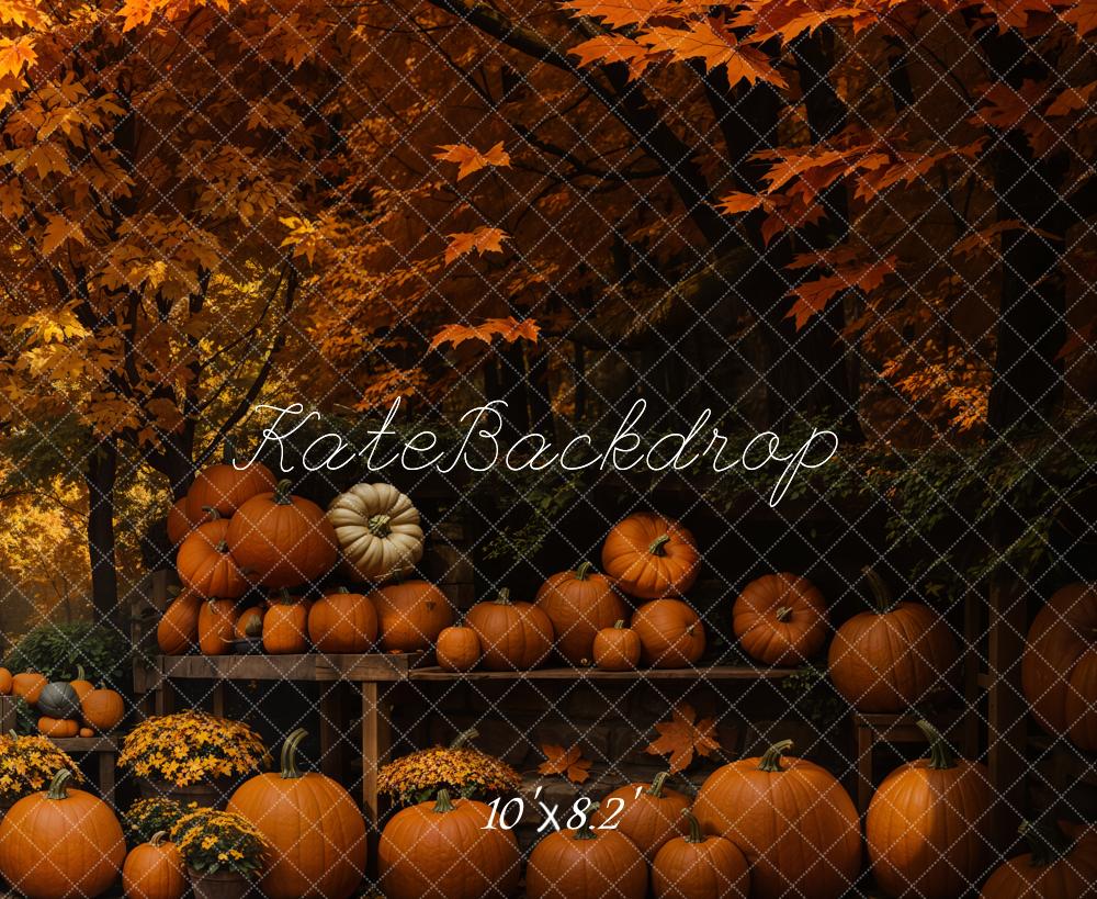 Kate Automne Étagère de citrouille Érable Toile de fond conçue par Emetselch - Kate Backdrop FR