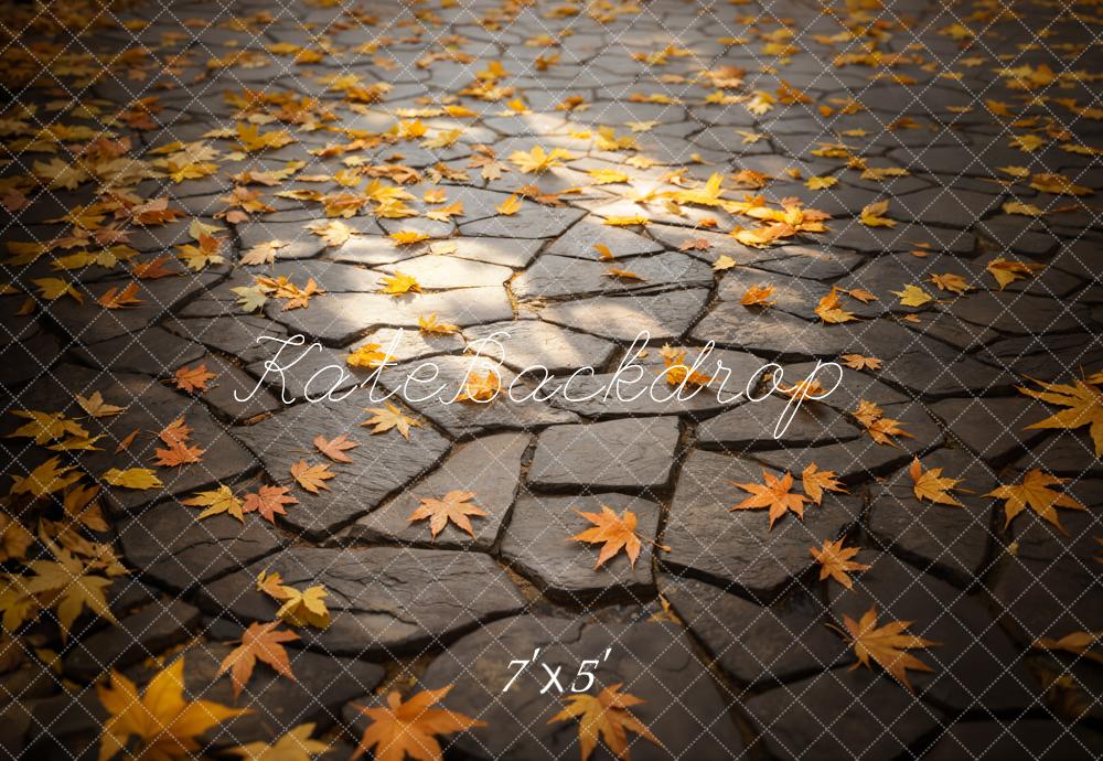 Kate Automne Feuilles Chemin de pierre Sol Toile de fond conçue par Emetselch - Kate Backdrop FR