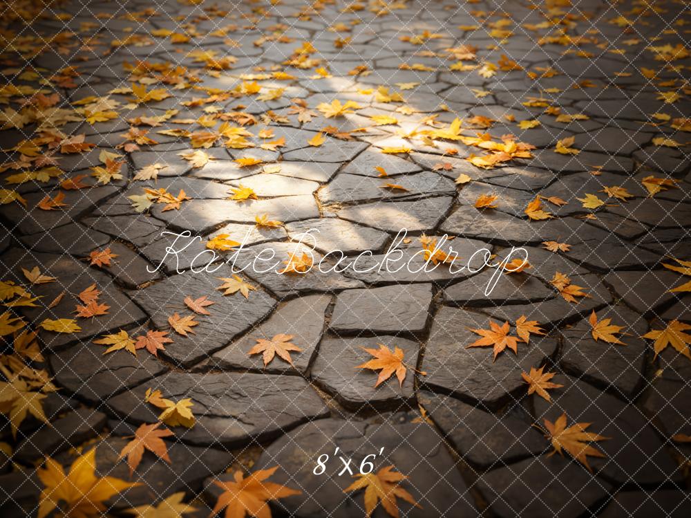 Kate Automne Feuilles Chemin de pierre Sol Toile de fond conçue par Emetselch - Kate Backdrop FR