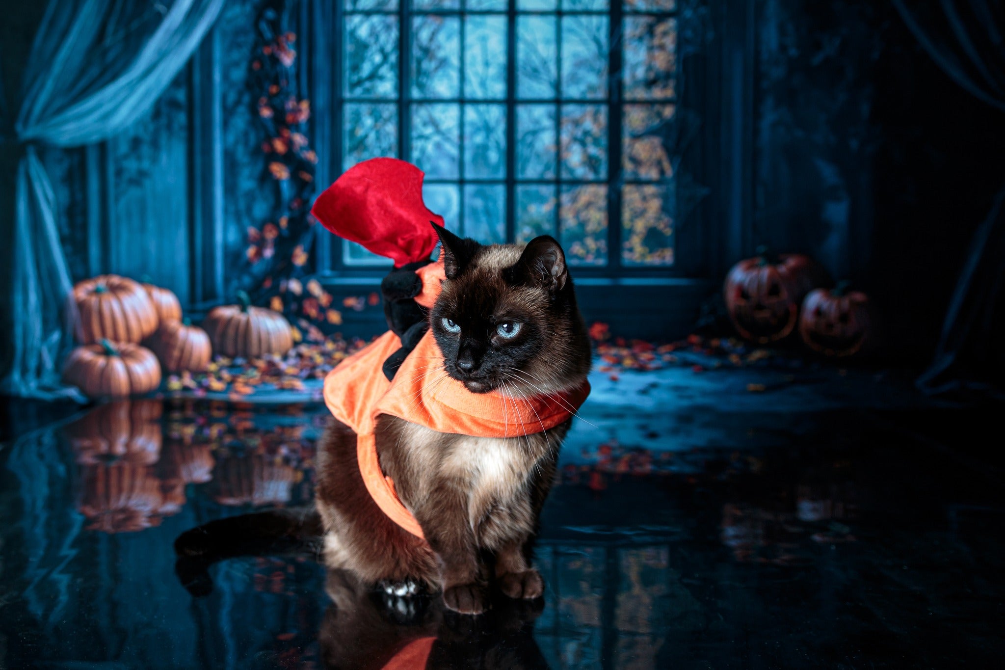 Kate Halloween Gothique Fenêtre Rideaux Bleu Toile de fond conçue par Emetselch - Kate Backdrop FR