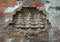 Kate Noël Arbres sculptés Mur de briques Toile de fond conçue par Megan Leigh - Kate Backdrop FR
