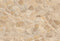 Kate Beige Texture de pierre Sol Toile de fond conçue par Emetselch - Kate Backdrop FR