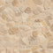 Kate Beige Texture de pierre Sol Toile de fond conçue par Emetselch - Kate Backdrop FR
