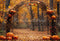 Kate Automne Citrouille Arche Forêt Toile de fond conçue par Emetselch - Kate Backdrop FR