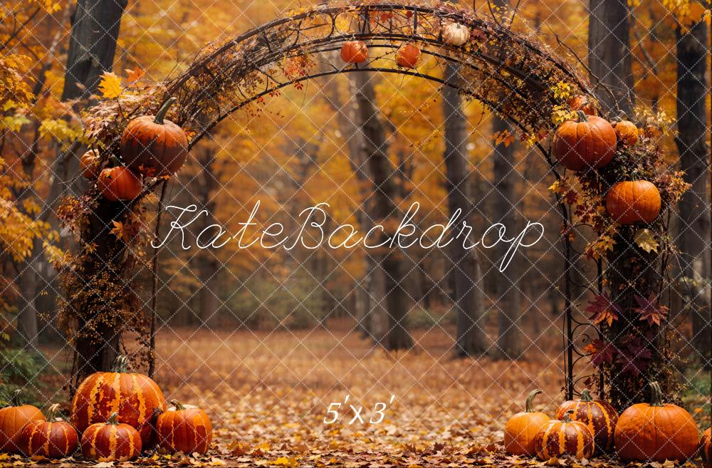 Kate Automne Citrouille Arche Forêt Toile de fond conçue par Emetselch - Kate Backdrop FR
