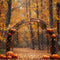 Kate Automne Citrouille Arche Forêt Toile de fond conçue par Emetselch - Kate Backdrop FR