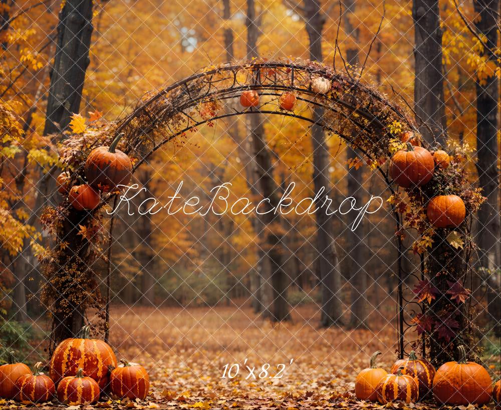 Kate Automne Citrouille Arche Forêt Toile de fond conçue par Emetselch - Kate Backdrop FR