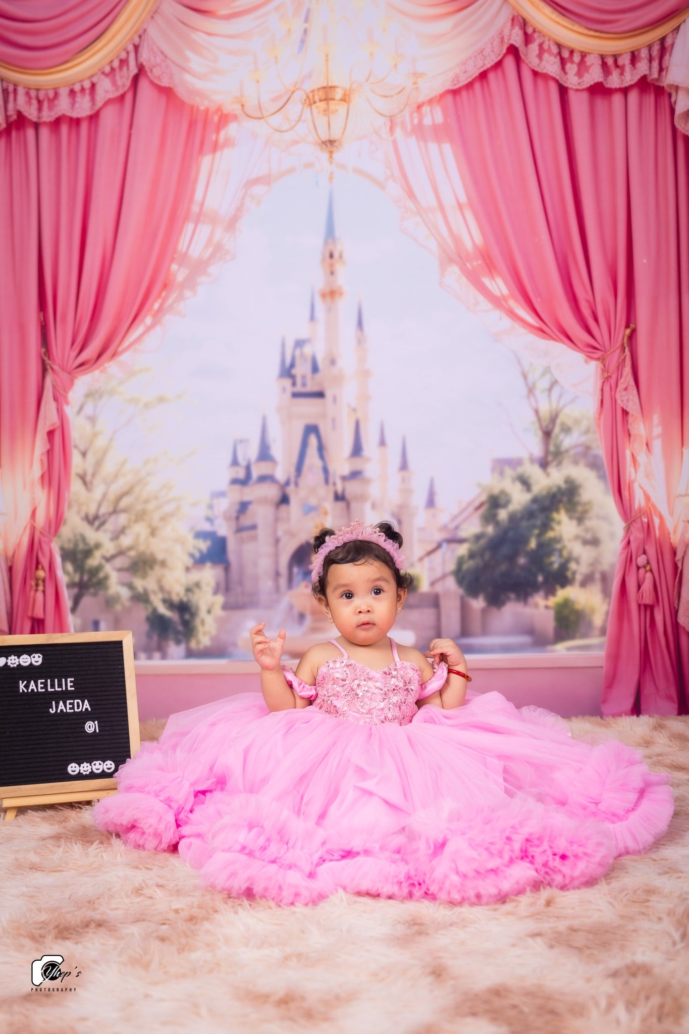 Kate Château Rose Rideaux Fenêtre Princesse Toile de fond conçue par Emetselch - Kate Backdrop FR