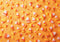 Kate Bonbons au maïs Mur Jaune Enfant Toile de fond conçue par Patty Robert - Kate Backdrop FR