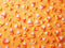 Kate Bonbons au maïs Mur Jaune Enfant Toile de fond conçue par Patty Robert - Kate Backdrop FR