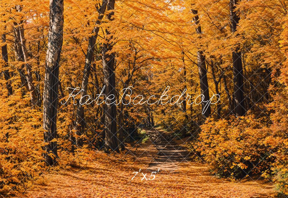 Kate Automne Forêt Chemin Jaune Toile de fond conçue par Emetselch - Kate Backdrop FR