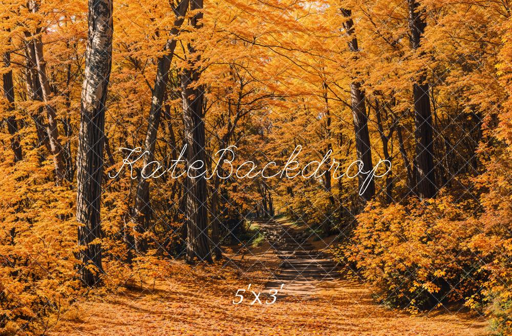Kate Automne Forêt Chemin Jaune Toile de fond conçue par Emetselch - Kate Backdrop FR