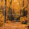 Kate Automne Forêt Chemin Jaune Toile de fond conçue par Emetselch - Kate Backdrop FR