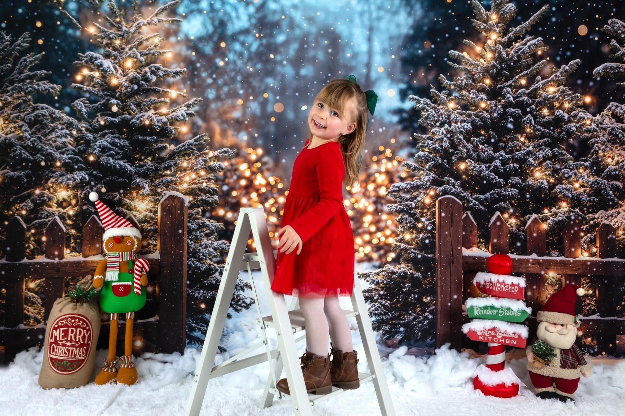 Kate Noël Forêt Neige Lumières Extérieur Toile de fond conçue par Emetselch - Kate Backdrop FR