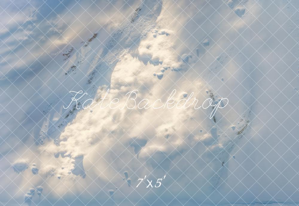 Kate Blanc Neige Hiver Sol Toile de fond conçue par Emetselch - Kate Backdrop FR