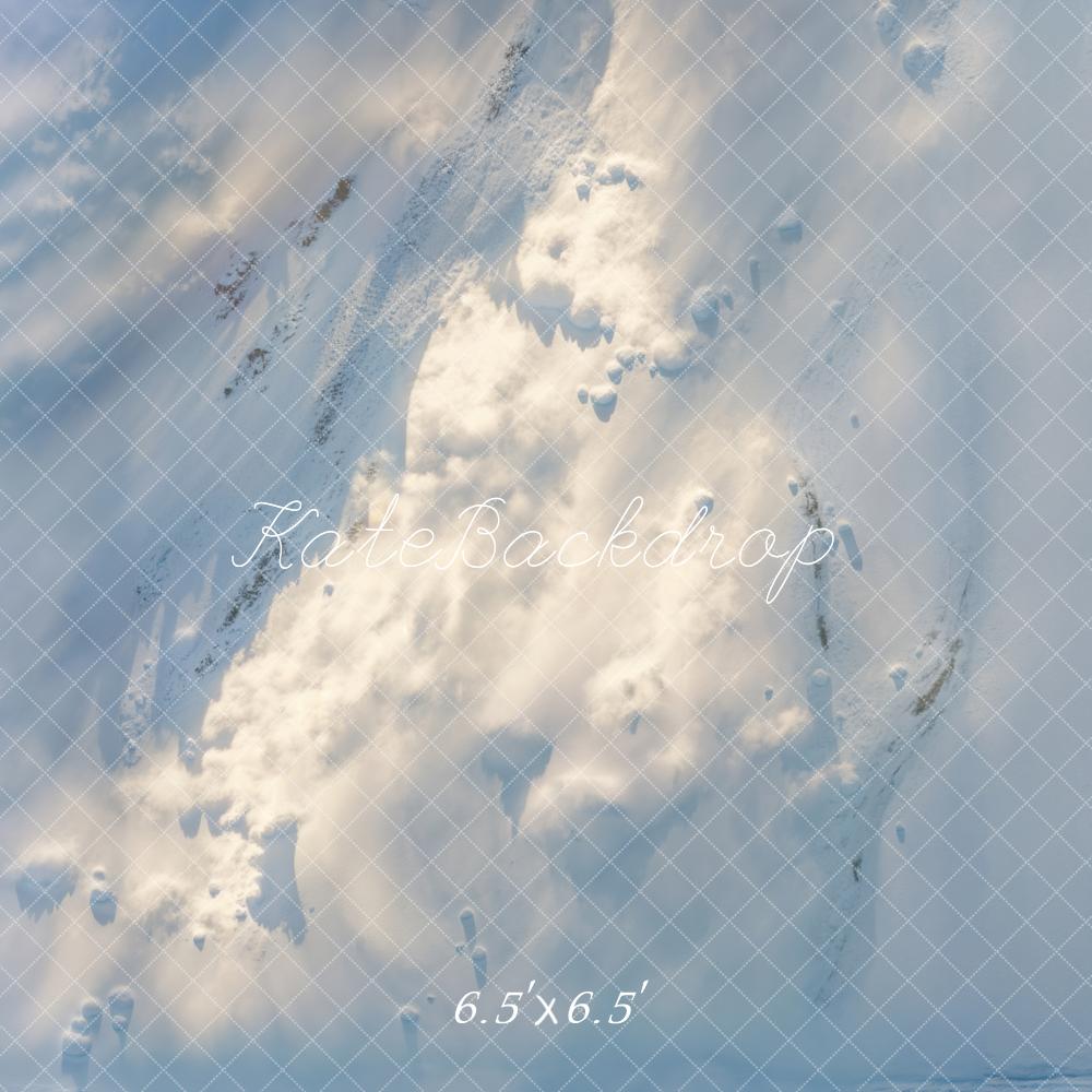 Kate Blanc Neige Hiver Sol Toile de fond conçue par Emetselch - Kate Backdrop FR