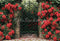 Kate Roses Rouge Jardin Portail Toile de fond conçue par Emetselch - Kate Backdrop FR