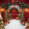 Kate Sapin de Noël Guirlande Arche Lumières Toile de fond conçue par Emetselch - Kate Backdrop FR