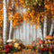 Kate Automne Bouleaux Champignons Toile de fond conçue par Patty Robert - Kate Backdrop FR