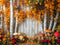 Kate Automne Bouleaux Champignons Toile de fond conçue par Patty Robert - Kate Backdrop FR